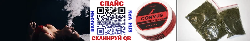 закладка  Сыктывкар  Бутират 99% 