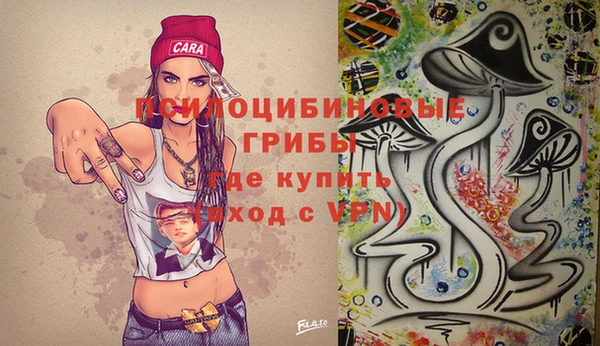 соль курить ск Медвежьегорск