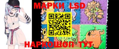 молекула духа Будённовск