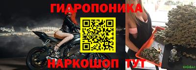 молекула духа Будённовск