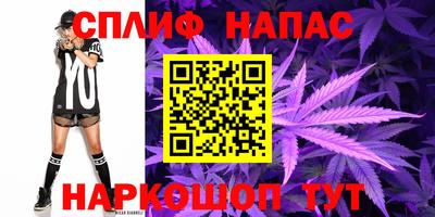 молекула духа Будённовск