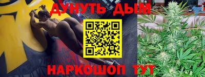 молекула духа Будённовск