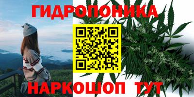 соль ск Волгодонск