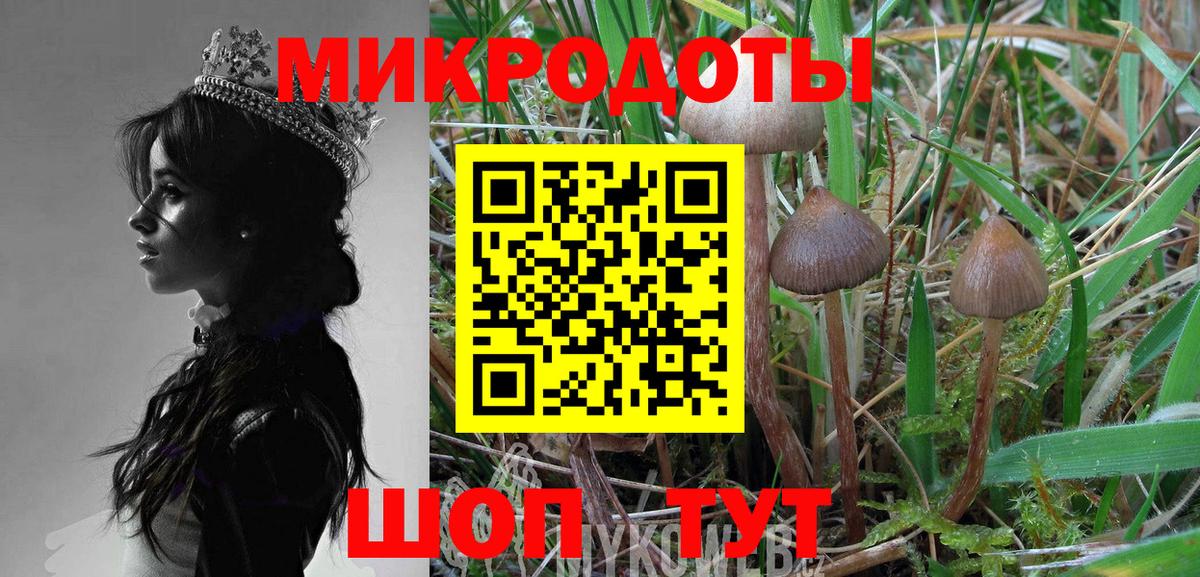 Псилоцибиновые грибы мицелий  Галлюциногенные грибы мицелий  Вход с VPN  Сыктывкар 