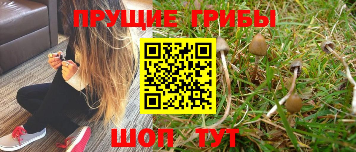 Галлюциногенные грибы мухоморы  Псилоцибиновые грибы прущие грибы  Сыктывкар 